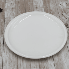 DINNER PLATE 9.5" | 24 CM