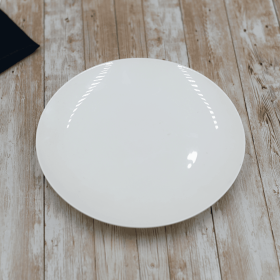 DINNER PLATE 9" | 23 CM